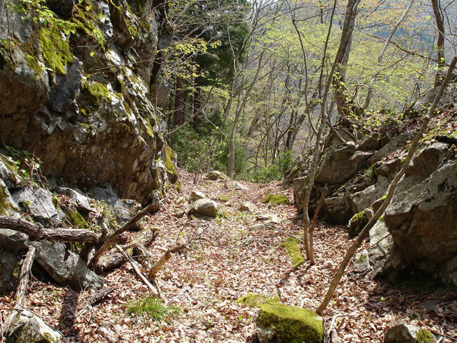 ���،ːX�ѓS���u��5��詓��[������J�v