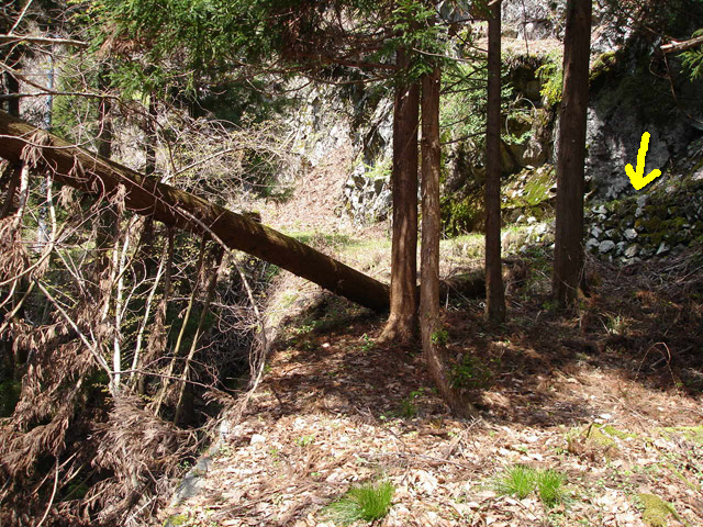 ���،ːX�ѓS���u��5��詓��[������J�v