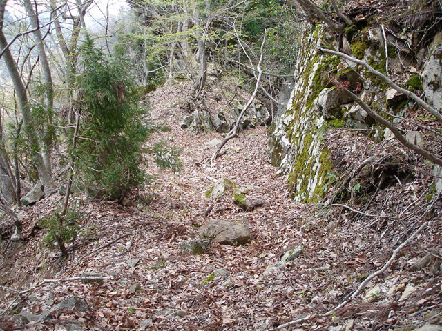 ���،ːX�ѓS���u��5��詓��[������J�v