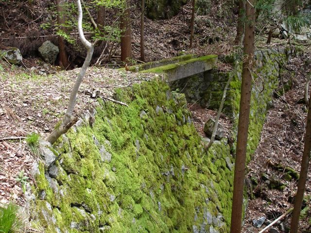 ���،ːX�ѓS��,�ѓS,�p��,����