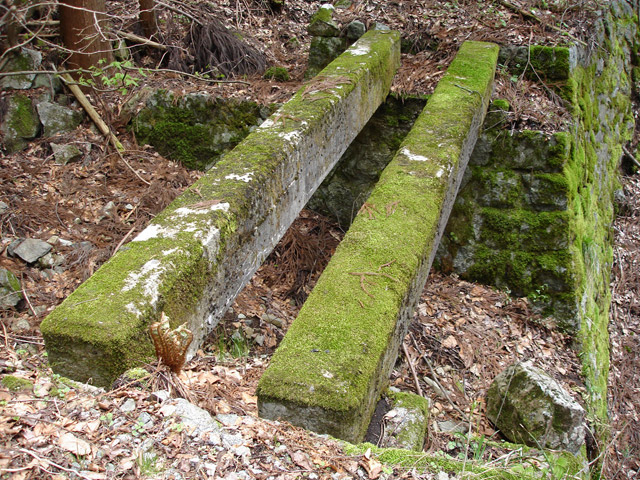 ���،ːX�ѓS��,�ѓS,�p��,����