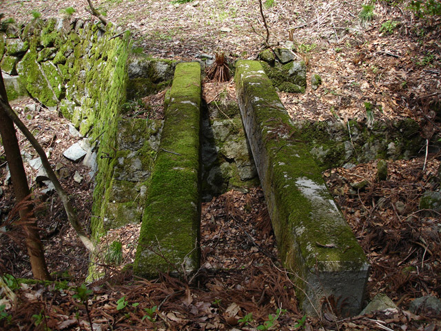 ���،˗ѓS,�X�ѓS��,�p����,����