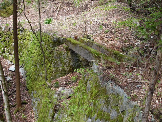 ���،˗ѓS,�X�ѓS��,�p����,����