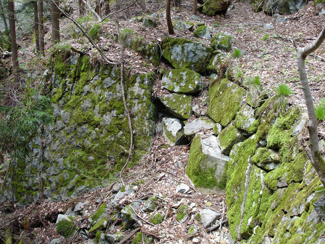 ���،˗ѓS,�X�ѓS��,�p����,����