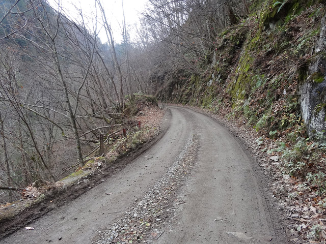 ���،ːX�ѓS��,�ѓS,�p����,�O����,����