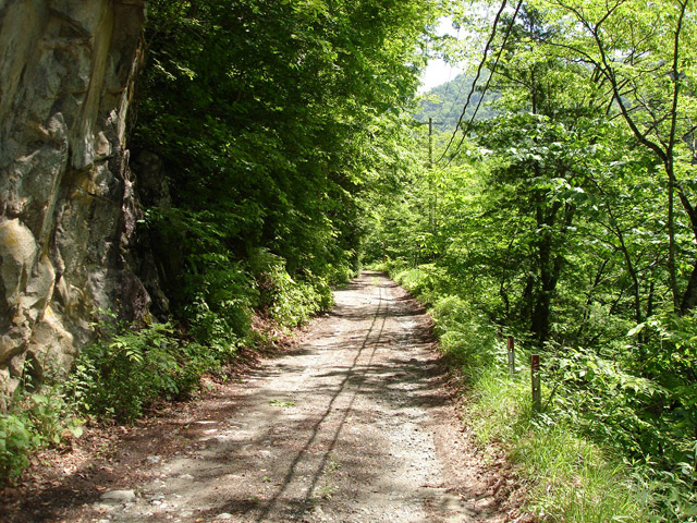 ���،ːX�ѓS��,�ѓS,�p����,�ѓ�,�o�Z�k�J,�O����