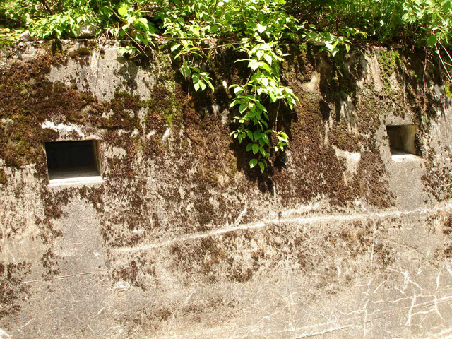 ���،ːX�ѓS��,�ѓS,�p����,�ѓ�,�o�Z�J,�e��,�~�G����