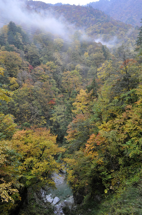 ���،ːX�ѓS��,�ѓS,�p����,����J����,�o�Z�J,���،ː�o��,�g�t