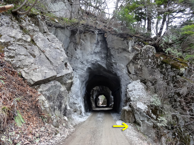 ���،ːX�ѓS��,�ѓS,�p����,�o�Z�J,�؍މ^���O��,�_���c�я�,26��詓�,�g���l��