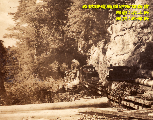 ���،ːX�ѓS��,�ѓS,��������,�^�ޗ��,���R,�@�֎�,�_���c�я�