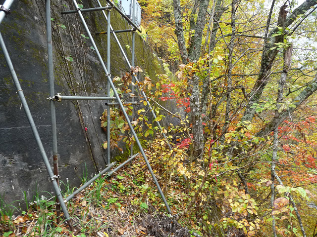 ���،ːX�ѓS��2����,�ѓS,�p����,�ѓ�,����,�̂��