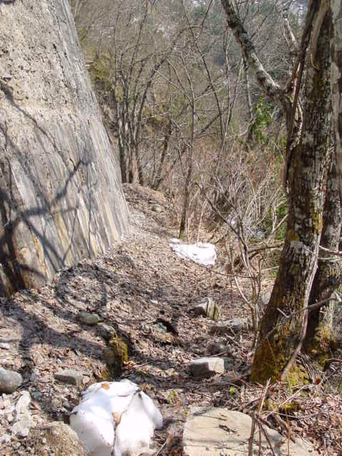 ���،ːX�ѓS��2����,�ѓS,�p����,���m��,�g���b�R�O����,�H��