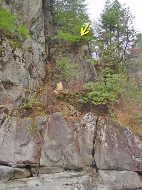 ���،ːX�ѓS��2����,�ѓS,�p����,���m����,����,��⋴��