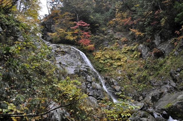 ���،ːX�ѓS��2����,�ѓS,�p����,��������,��,�g�t