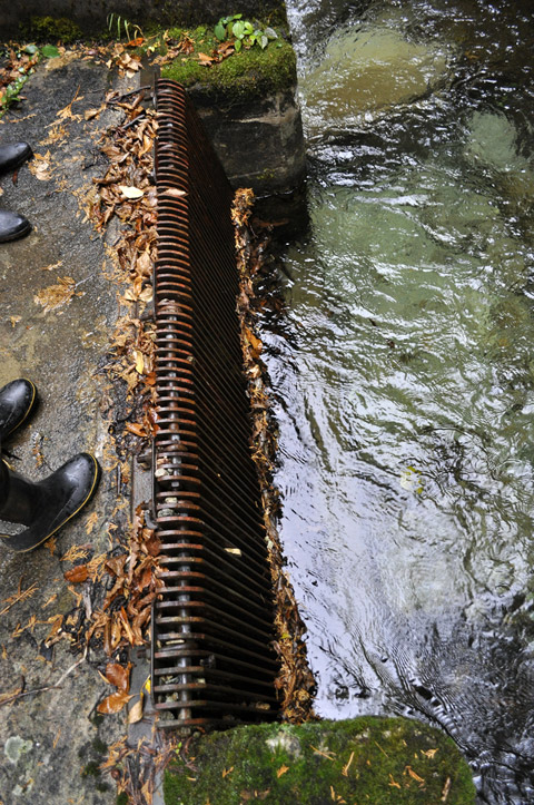 ���،ːX�ѓS��2����,�ѓS,�p����,��������,��,�搅��