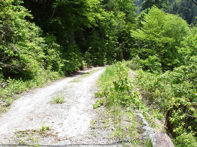 ���،ːX�ѓS��2����,�ѓS,�p����,�g���b�R�O����,�ѓ�,�ԓ���