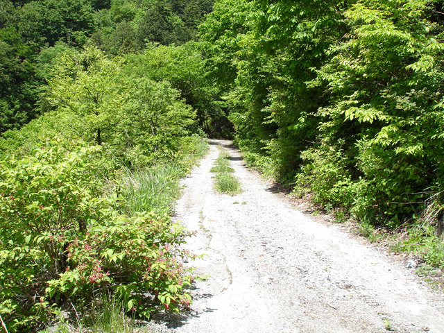 ���،ːX�ѓS��2����,�ѓS,�p����,�؍މ^���O����,����,�H��