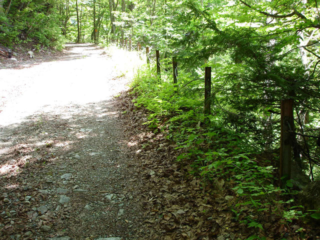 ���،˗ѓS2����,�X�ѓS��,�p����,�g���b�R�O����,�D�Éc�я�,�O��