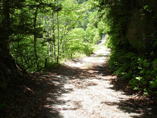 ���،˗ѓS2����,�X�ѓS��,�p����,�؍މ^���O����,�D�Éc�я�,����