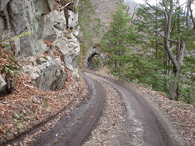 ���،˗ѓS2����,�X�ѓS��,�p����,�؍މ^���O����,�D�Éc�я�,�H��