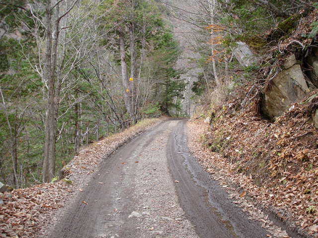 ���،˗ѓS2����,�X�ѓS��,�p����,�؍މ^���O����,�D�Éc�я�,�ѓ�