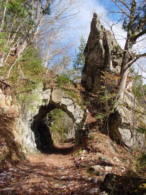 ���،ːX�ѓS��2����,�ѓS,�p����,����,詓�,�g���l��,�C���X�^�f��