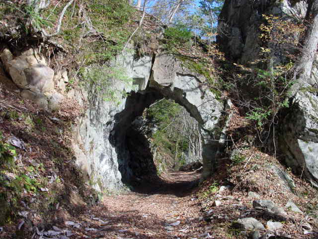 ���،ːX�ѓS��2����,�ѓS,�p����,�i���[�O����,5��詓�,�g���l��