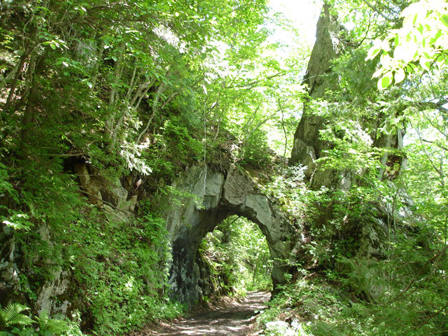 ���،˗ѓS,�X�ѓS��,�p����,�؍މ^���O����,5��詓�,2����