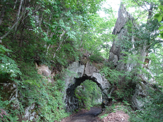 ���،˗ѓ�,�ѓS,�X�ѓS��,�p����,�D�Éc�я�,5��詓�,�X�ыO��