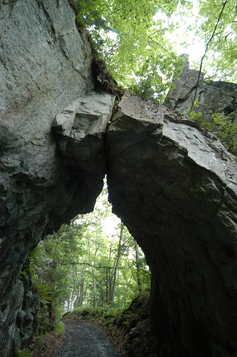 ���،˗ѓ�,�ѓS,�X�ѓS��,�p����,�D�Éc�я�,5���g���l��,����