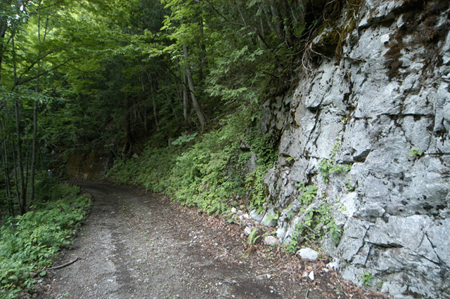 ���،ːX�ѓS��2����,�ѓS,�p����,�c�я��O����,詓�,5���g���l��