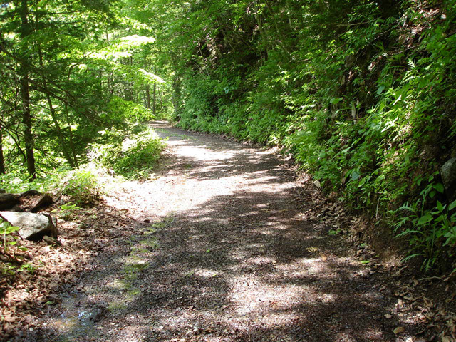 ���،ːX�ѓS��2����,�ѓS,�p����,�c�я��O����,詓�,5���g���l��