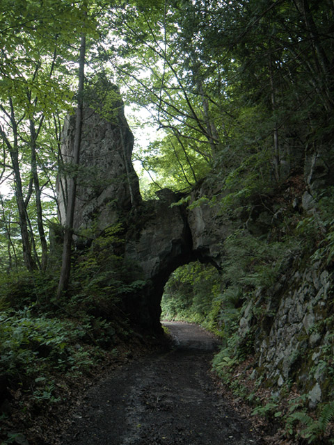 ���،ːX�ѓS��2����,�ѓS,�p����,�c�я��O����,���,5���g���l��