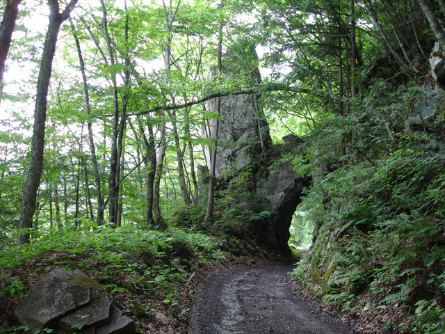 ���،ːX�ѓS��2����,�ѓS,�p����,�i���[�Q�[�W,���,5���g���l��