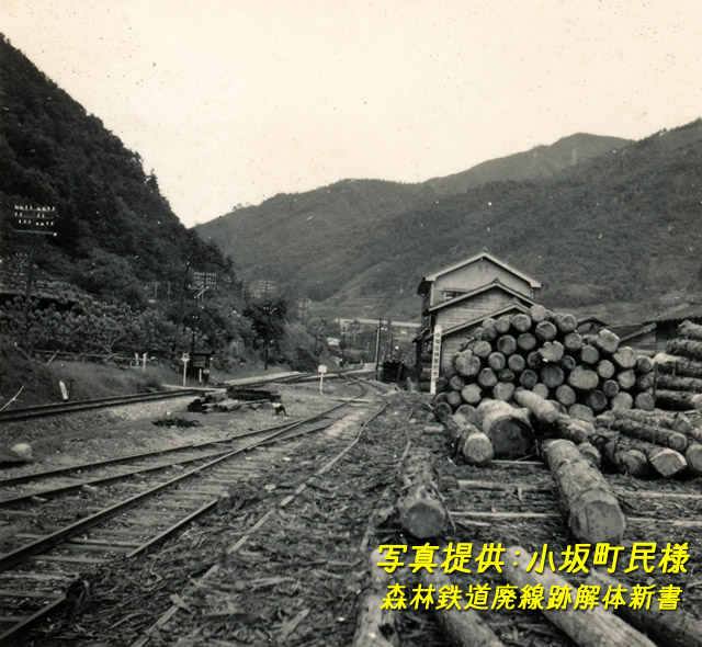 小坂森林鉄道,林鉄,レール,現役時代,側線