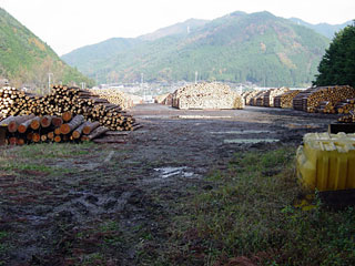 ����X�ѓS��,�ѓS,�p����,�y��,���؏�