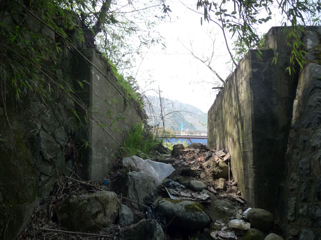 ����X�ѓS���{���u�v�c�싴���[���i�����א������j�v