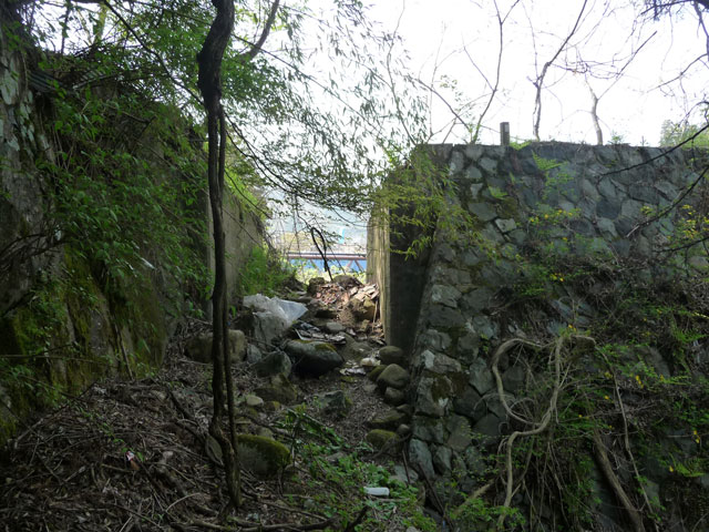 ����X�ѓS���{���u�v�c�싴���[���i�����א������j�v