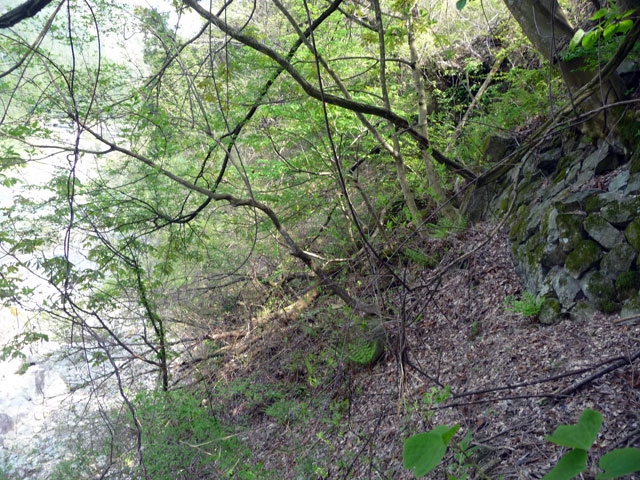 ����X�ѓS���{���u�����א������[���v