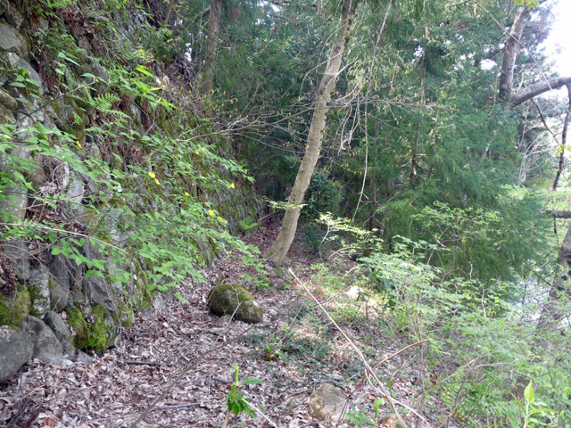 ����X�ѓS���{���u�����א������[���v