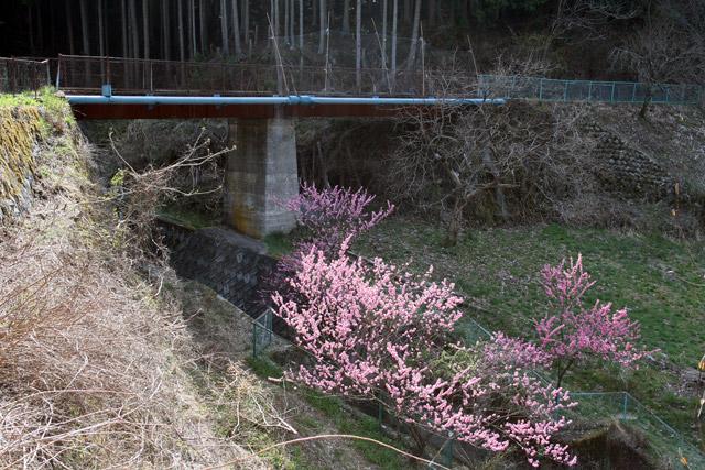 ����X�ѓS���{���uKM2.6�����v