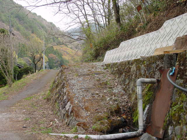 ����X�ѓS���{���u�哴�싴���[�����v