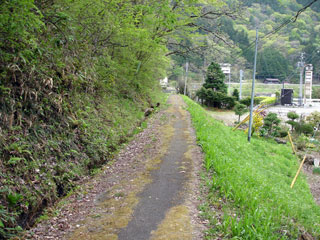 ����X�ѓS���{���u�哴�싴���[�����v