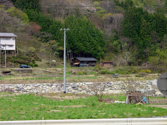 ����X�ѓS���{���u�哴�싴���[�����v