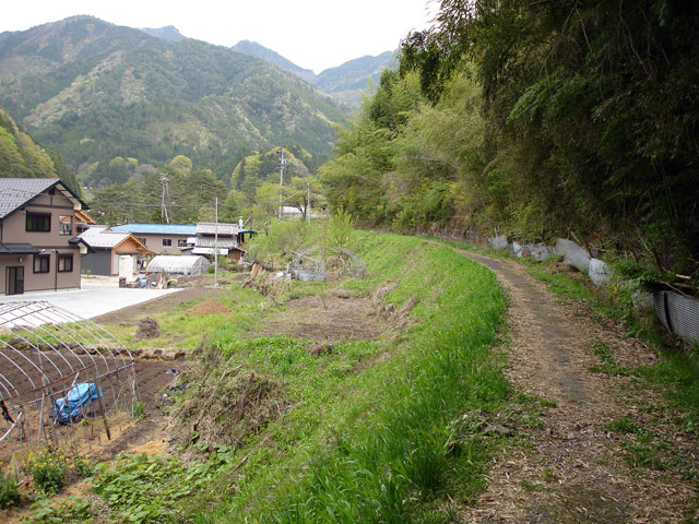 ����X�ѓS���{���u�哴�싴���[�����v