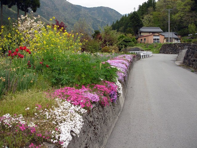 ����X�ѓS���{���u�哴�싴���[�����v