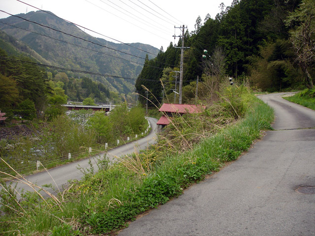 ����X�ѓS���{���u�哴�싴���[�����v