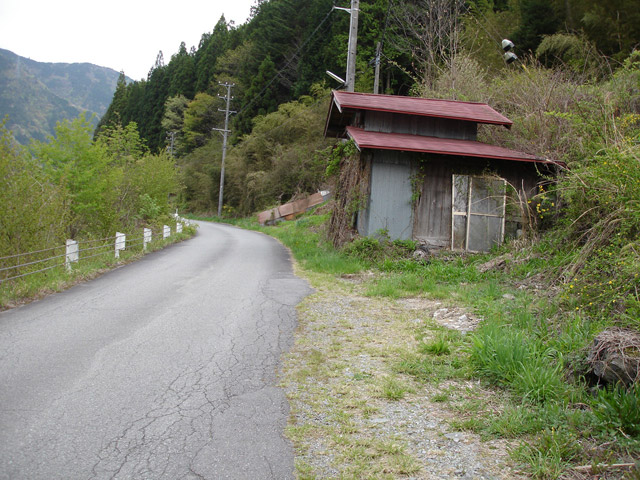 ����X�ѓS���{���u�哴�싴���[�����v