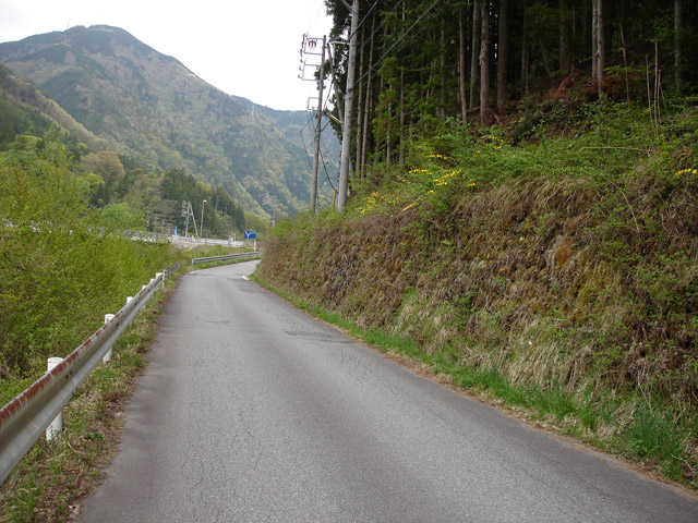 ����X�ѓS���{���u�哴�싴���[�����v