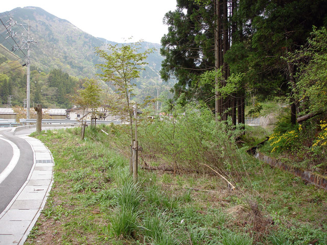 ����X�ѓS���{���u������ԏ�v